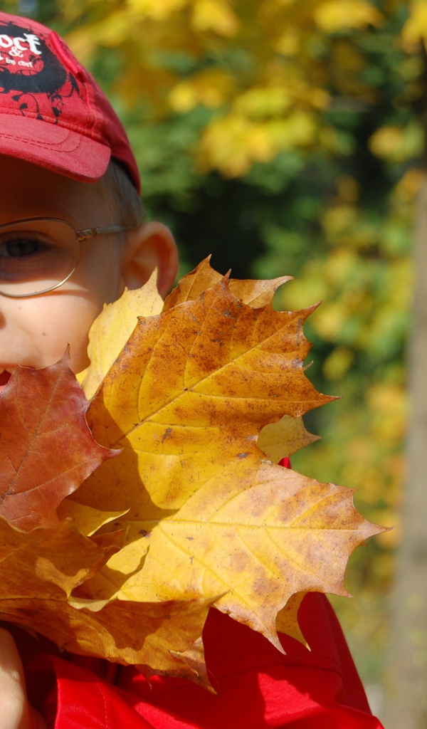 Мальчик в красной кепке с листьями в руках 