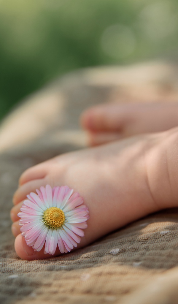 Нога ребенка с цветком маргаритки