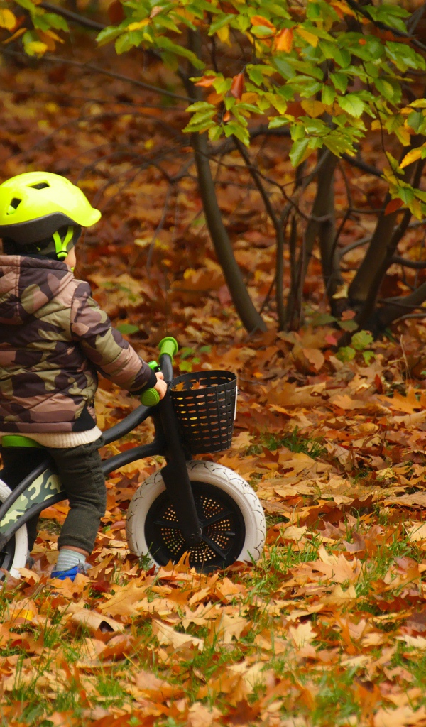 Маленький мальчик на велосипеде в осеннем парке 