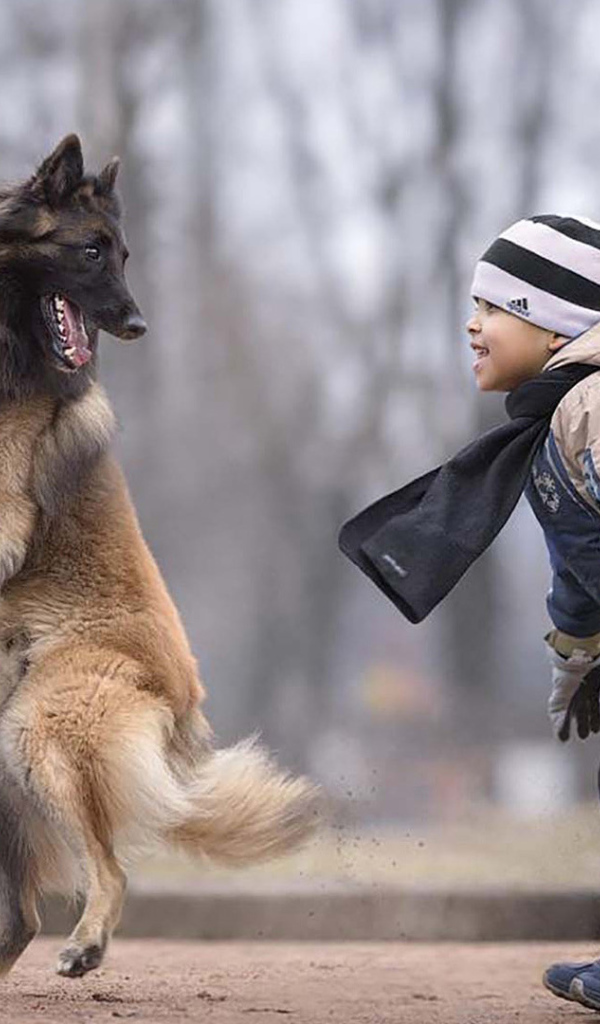 Маленький мальчик играет с овчаркой
