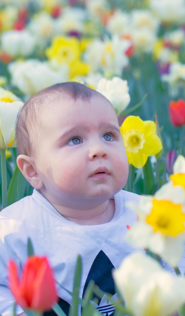Маленький ребенок сидит на клумбе с тюльпанами и нарциссами 