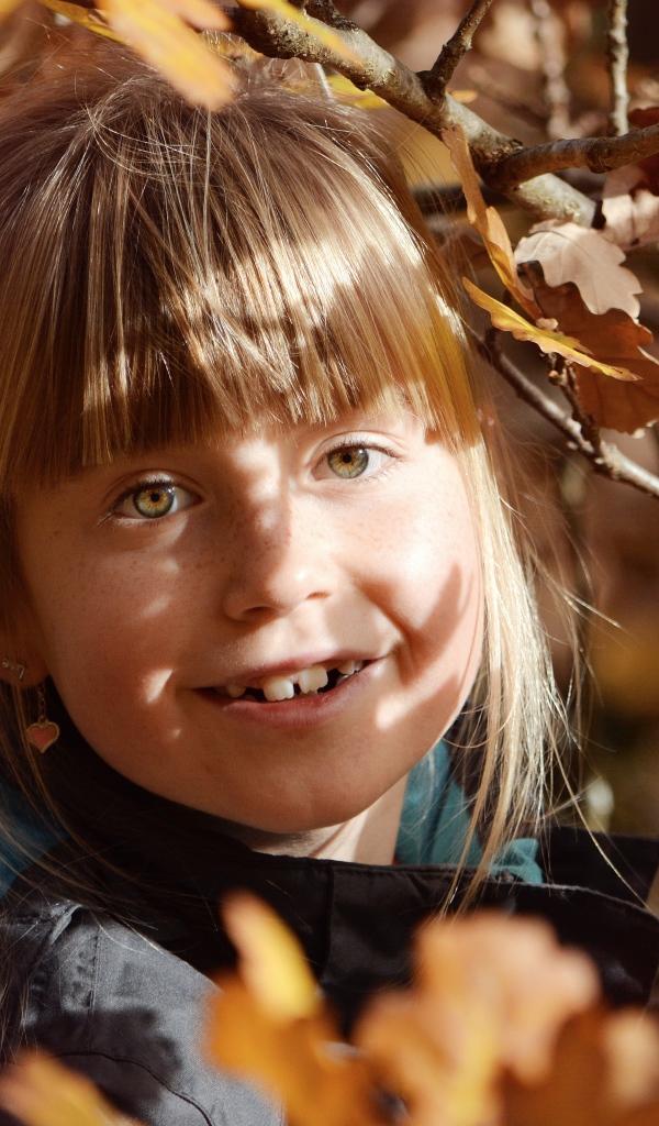 Маленькая девочка в ветках дерева осенью 