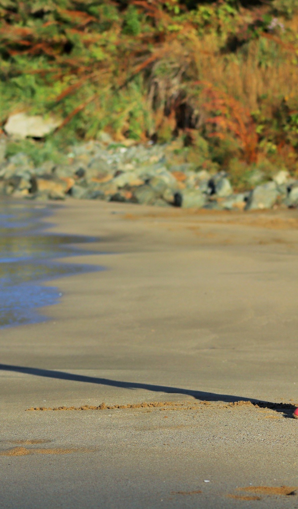 Маленькая девочка гуляет по мокрому песку 