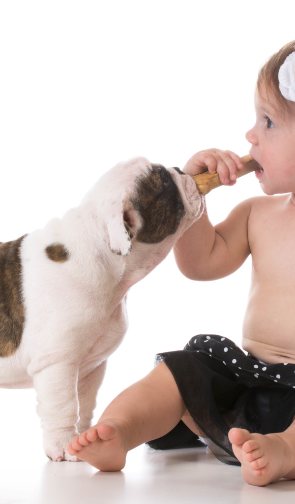 Маленькая девочка с милым щенком на белом фоне