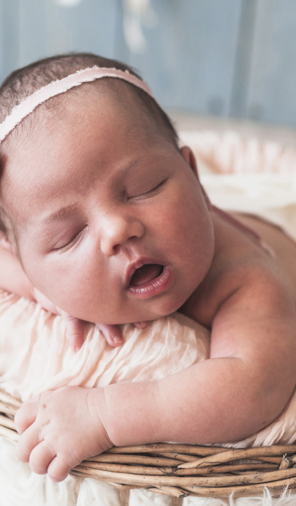 Новорожденная девочка лежит в корзине 