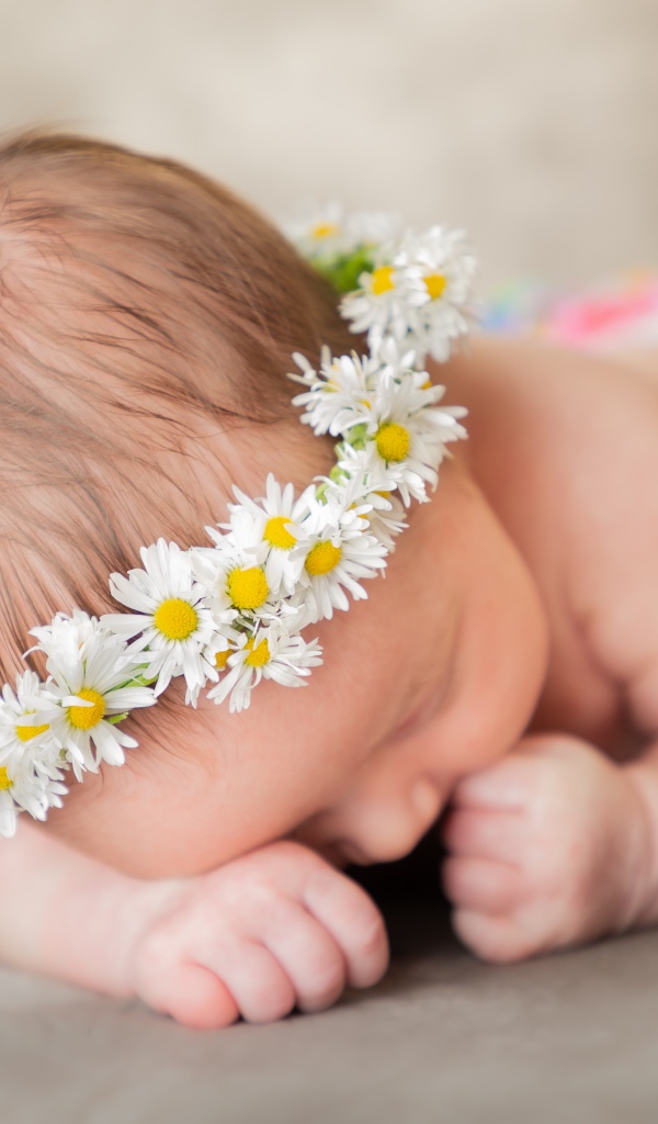 Спящий грудной ребенок в венке из ромашек 