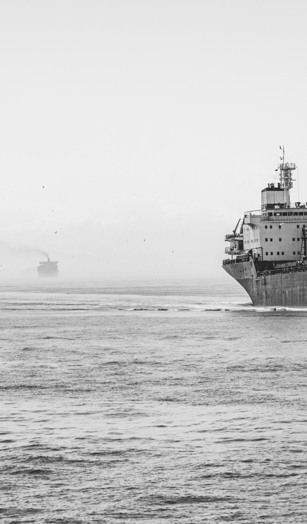 Big ship at sea black and white photo