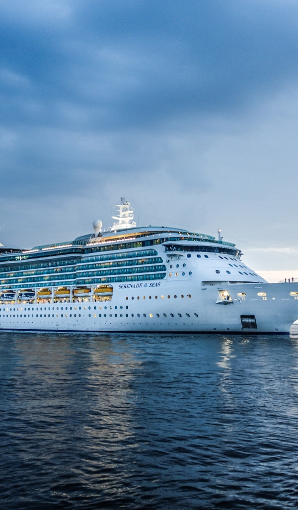 Большой круизный лайнер Serenade of the Seas в море 