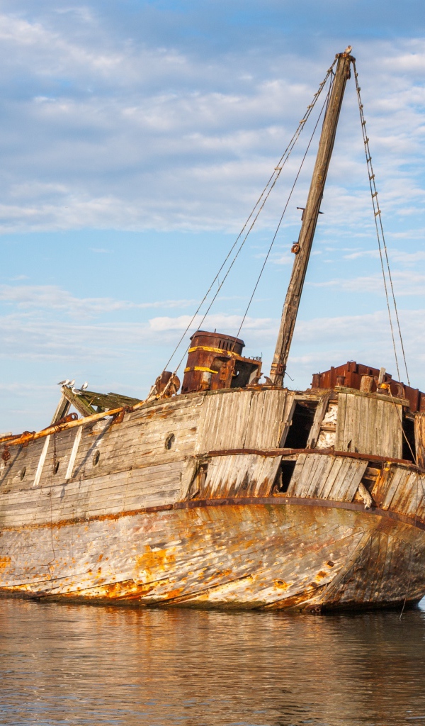 Старый разрушенный корабль на берегу 