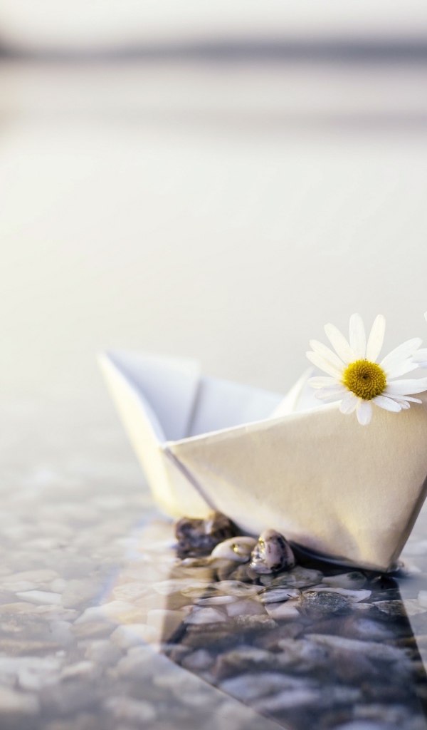 Бумажный кораблик в воде с ромашками