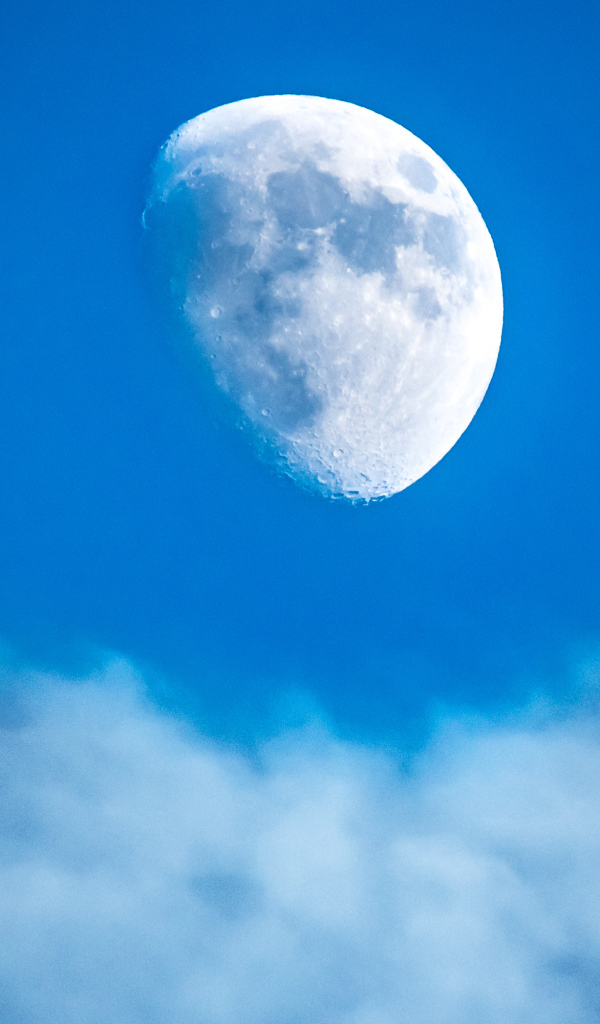 Половина большой белой луны в голубом небе