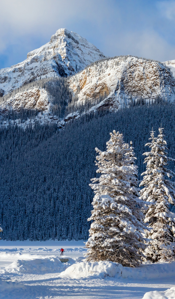 Красивые заснеженные ели у подножия горы зимой