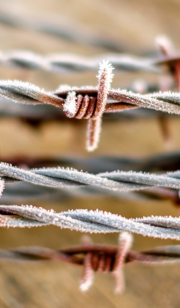 Hoarfrost barbed wire close up
