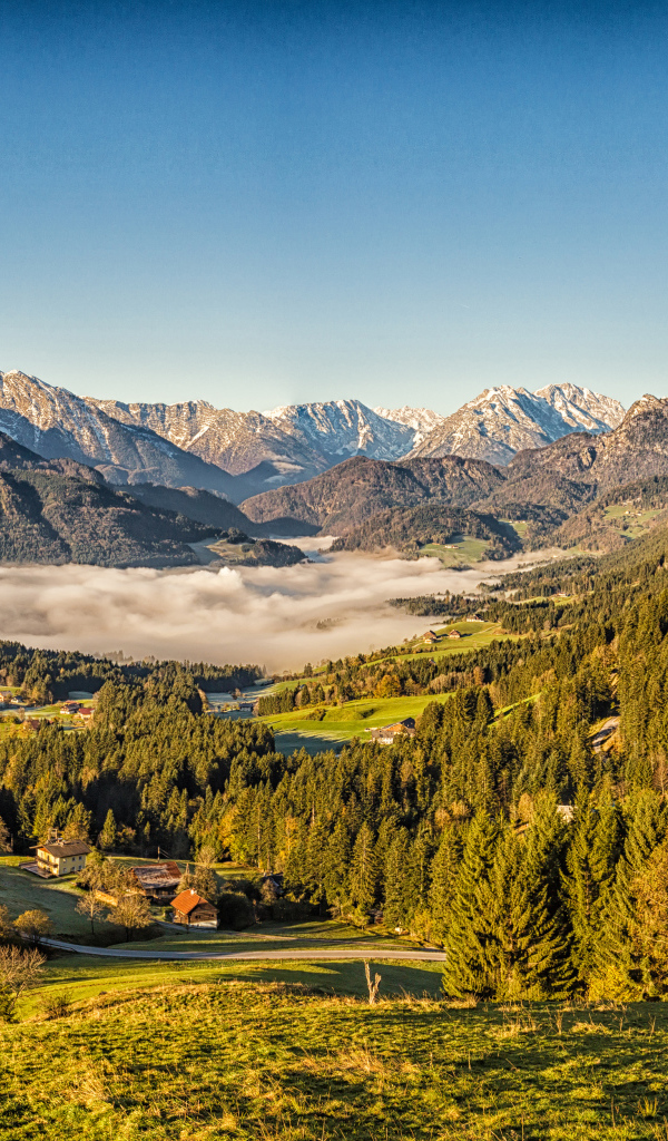 Красивый вид на горы Альпы покрытые зеленым лесом, Австрия 