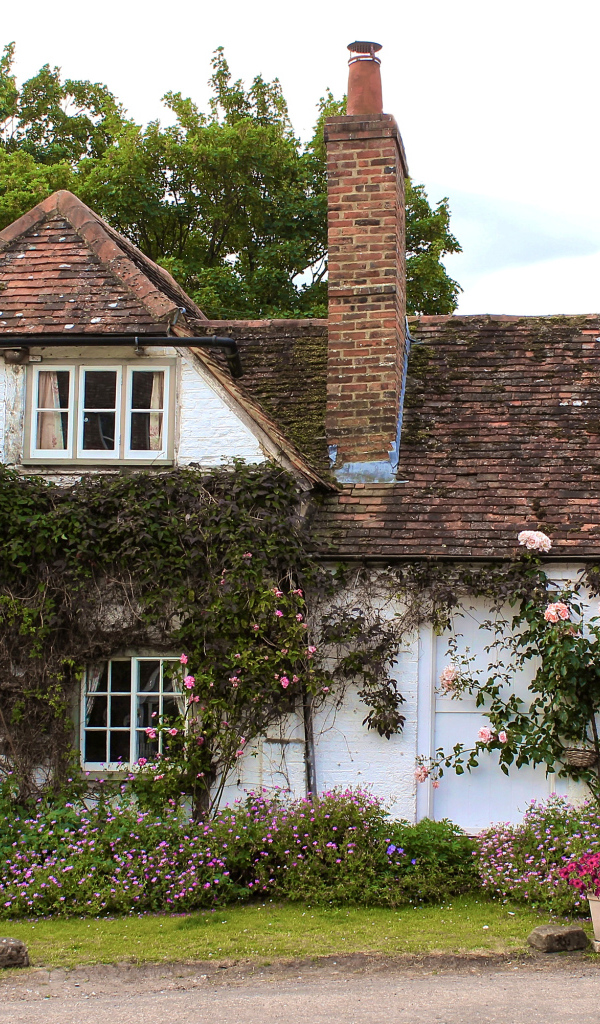 Красивый дом с цветами, Англия