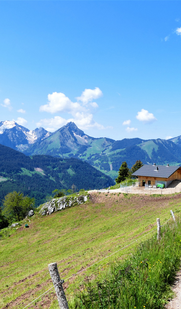 Красивый вид на покрытые зеленью Альпы, Франция 