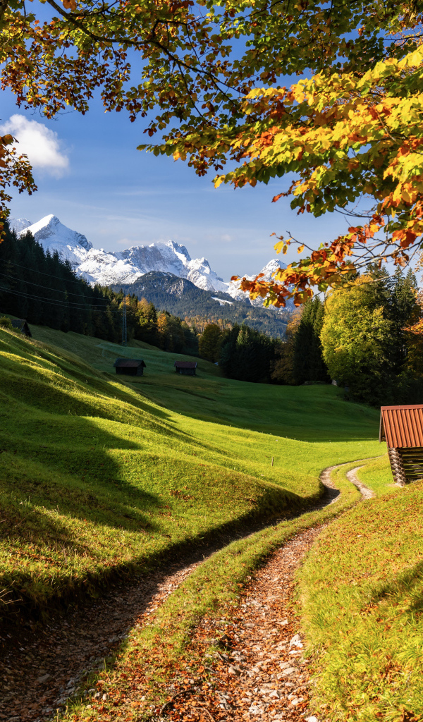 Красивая зеленая природа Альп, Германия