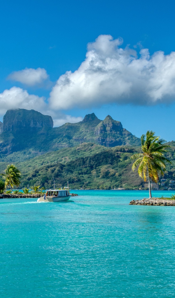 Красивый пляж на фоне гор, Исландия