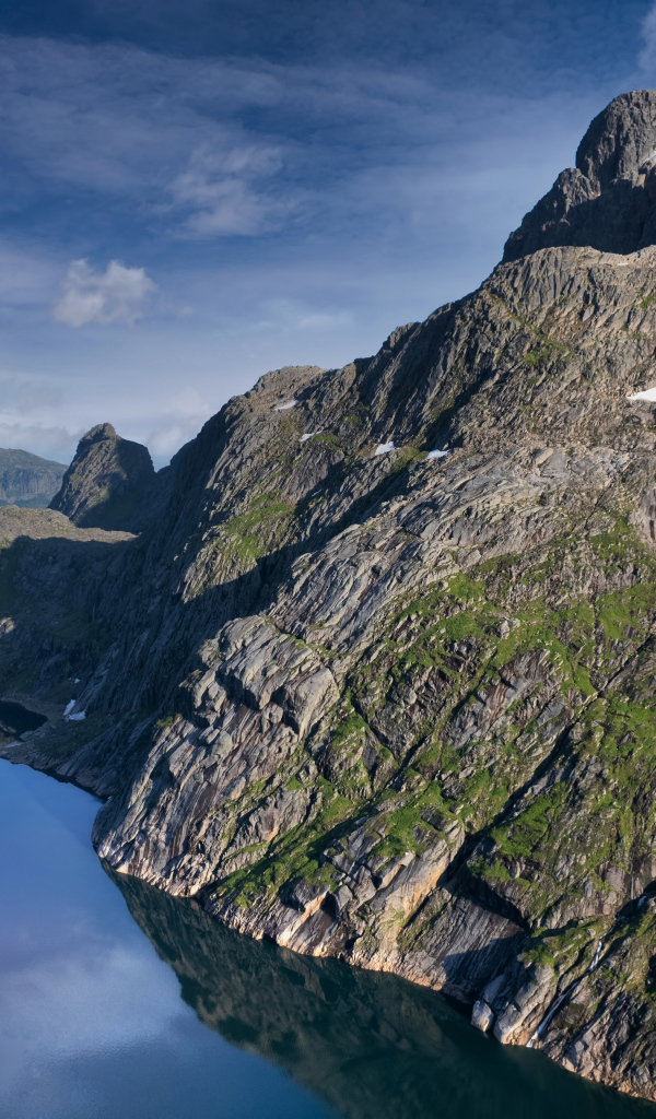 Большая серая года у озера, Лофотенские острова. Норвегия