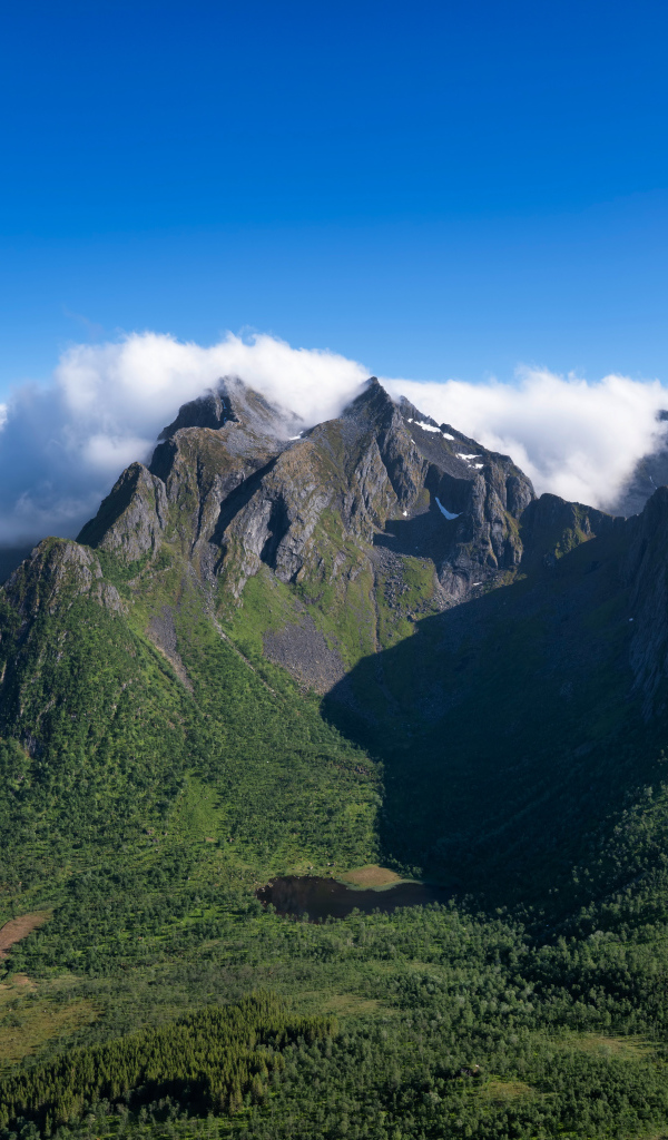 Красивый вид на Лофотенские острова под красивым голубым небом