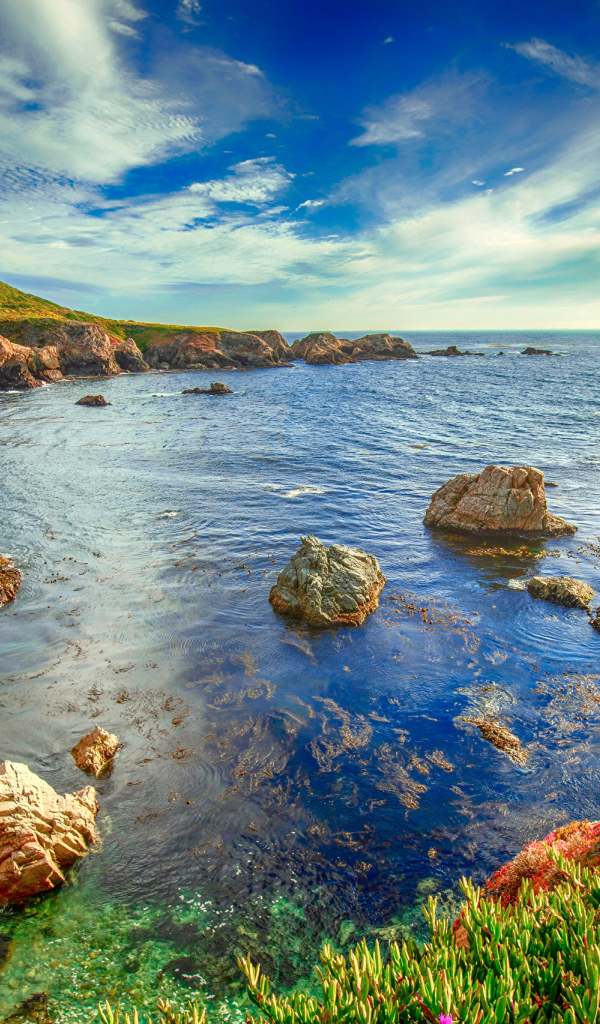 Красивое морское побережье, Калифорния. США