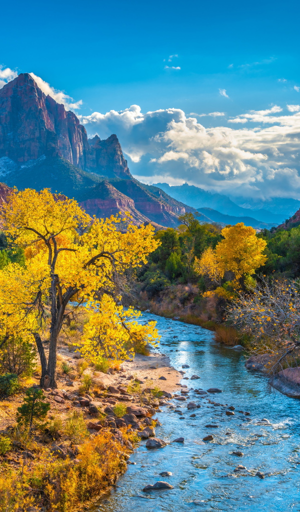 Красивый вид на национальный парк Сион осенью, США