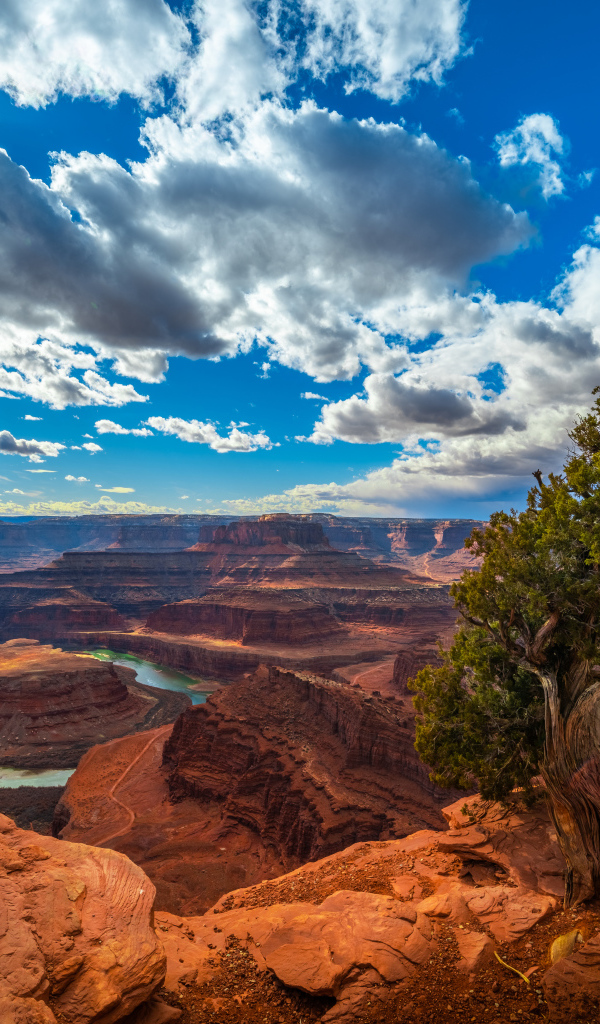 Beautiful view of the canyon under the blue sky, USA