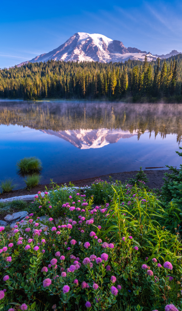 Красивый вид на заснеженную вершину горы у озера, США 