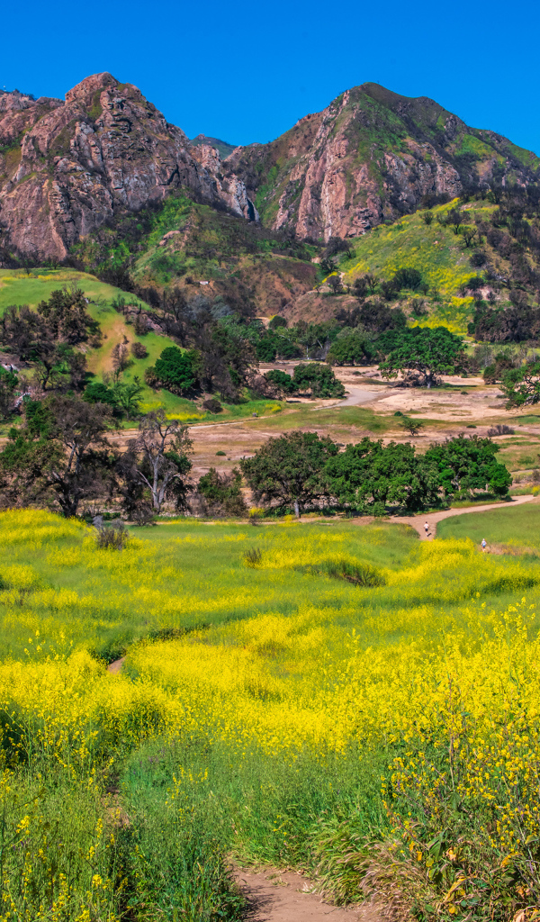 Большие горы под голубым небом, США