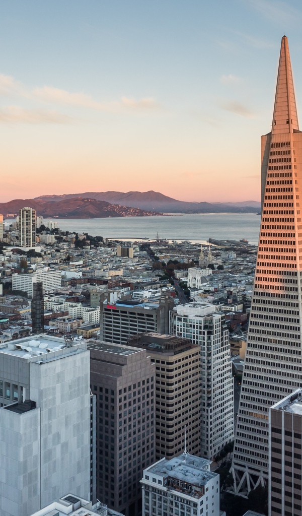 Высокое здание Трансамерика, Сан-Франциско. Калифорния США