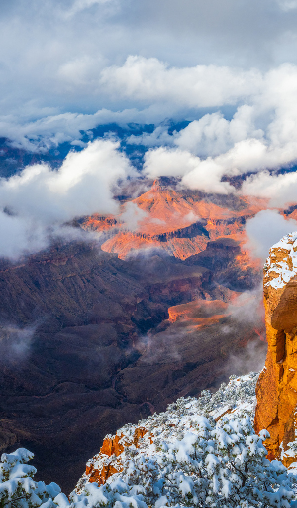 Вид на Гранд каньон под белыми облаками,США