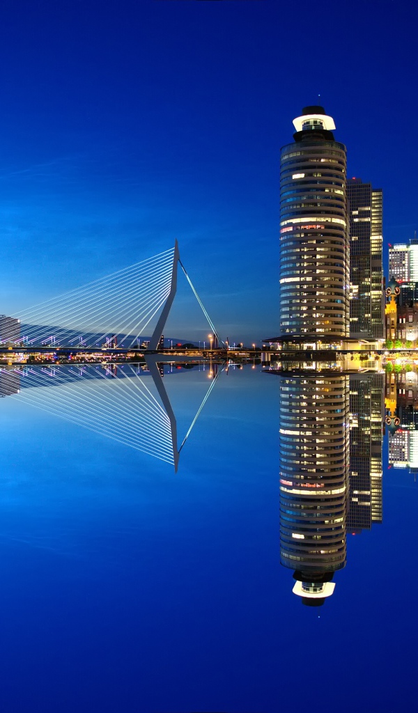 Небоскребы и мост отражаются в тихой воде