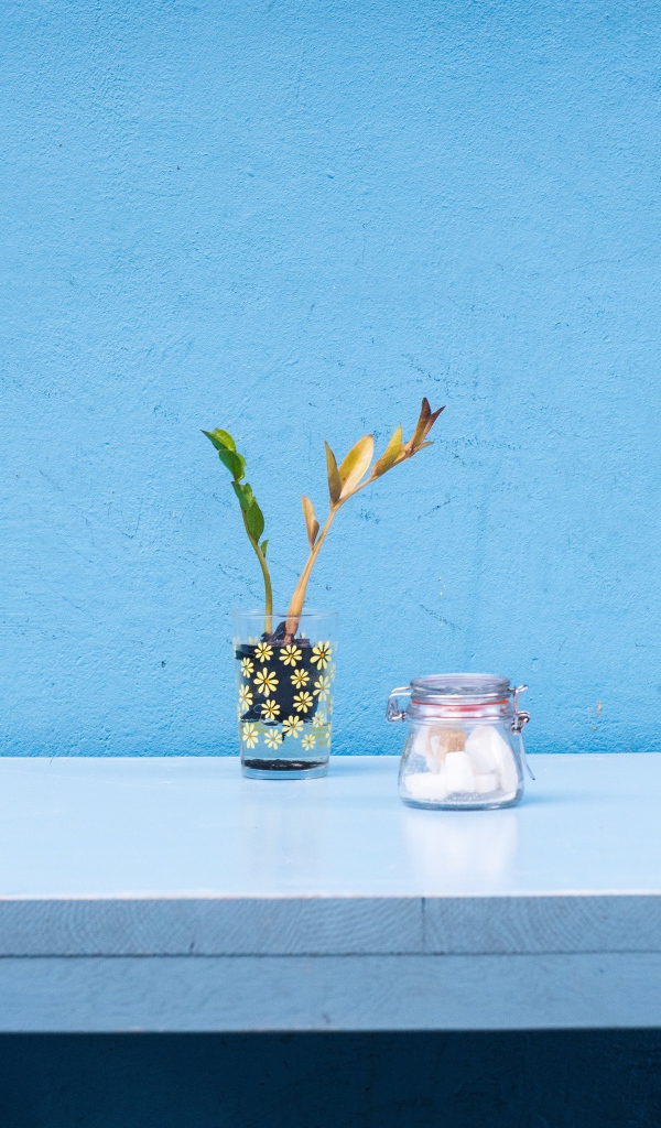 Стол с цветком стоит у голубой стены 