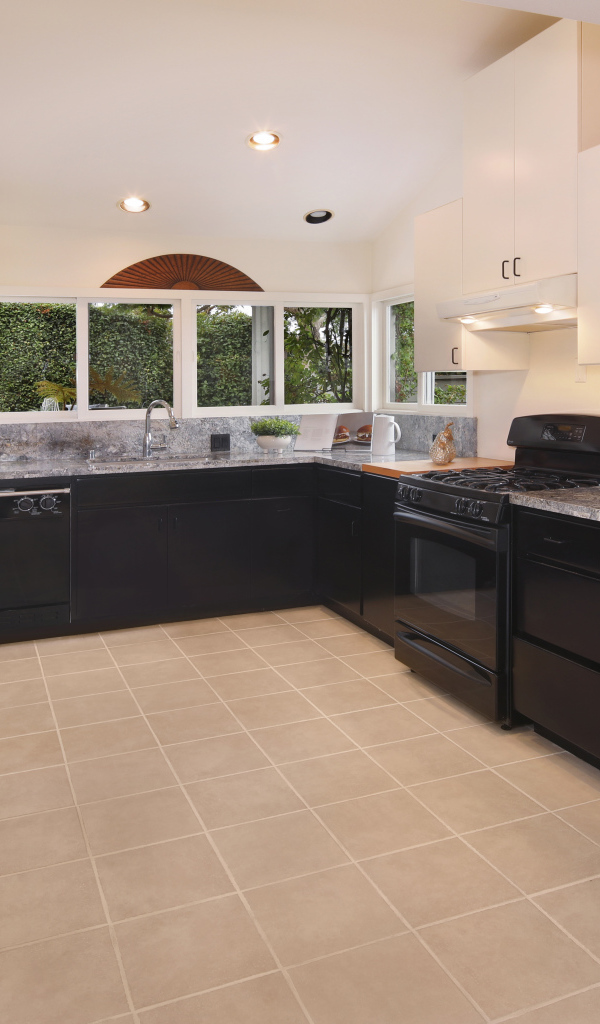 Большая кухня с черной  мебелью 