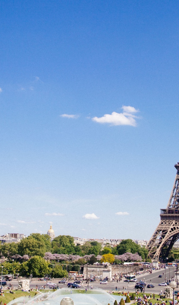 Nice view of the famous Eiffel Tower under the blue sky, Paris