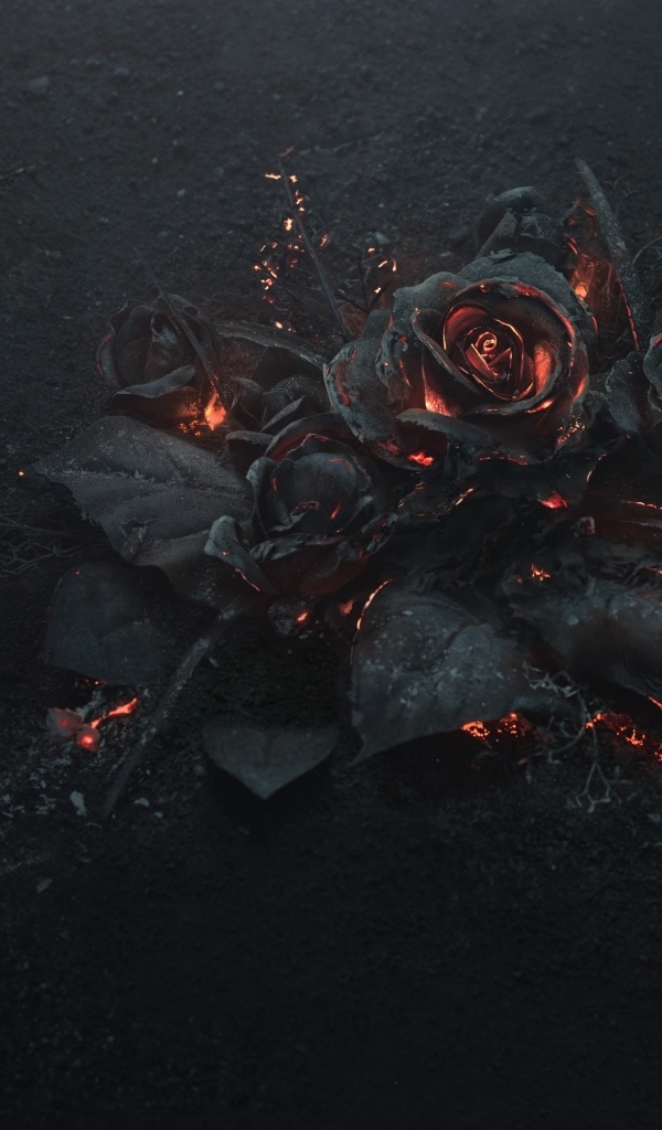 Черные сожженные 3д розы