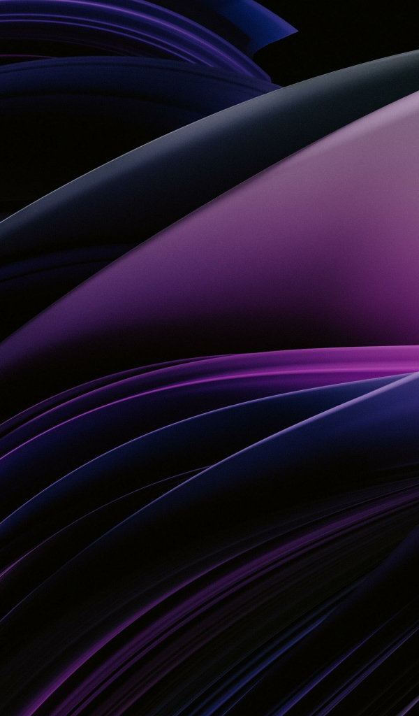 Фиолетовые абстрактные лепестки на черном фоне