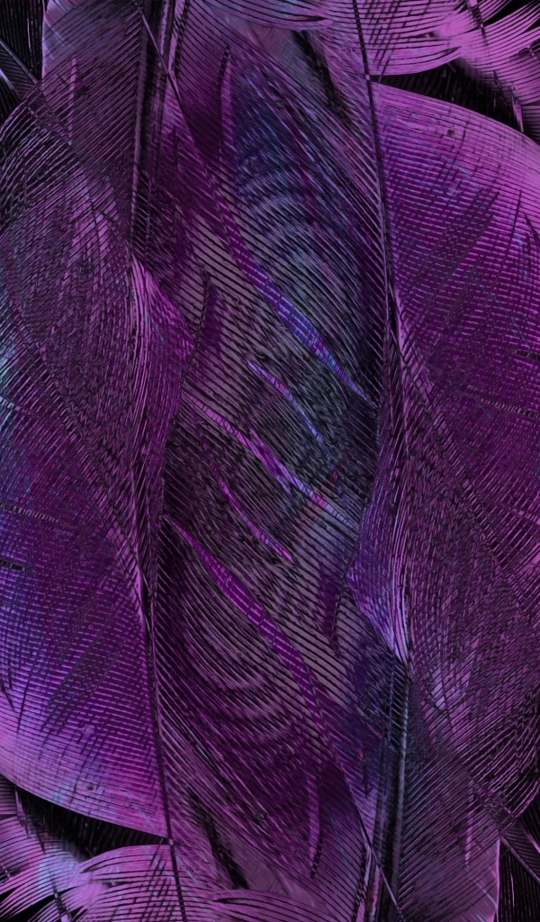 Фиолетовые перья птицы крупным планом