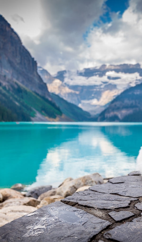 Белый пес лежит на берегу голубого горного озера