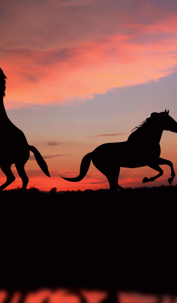 Два силуэта лошади на фоне заката