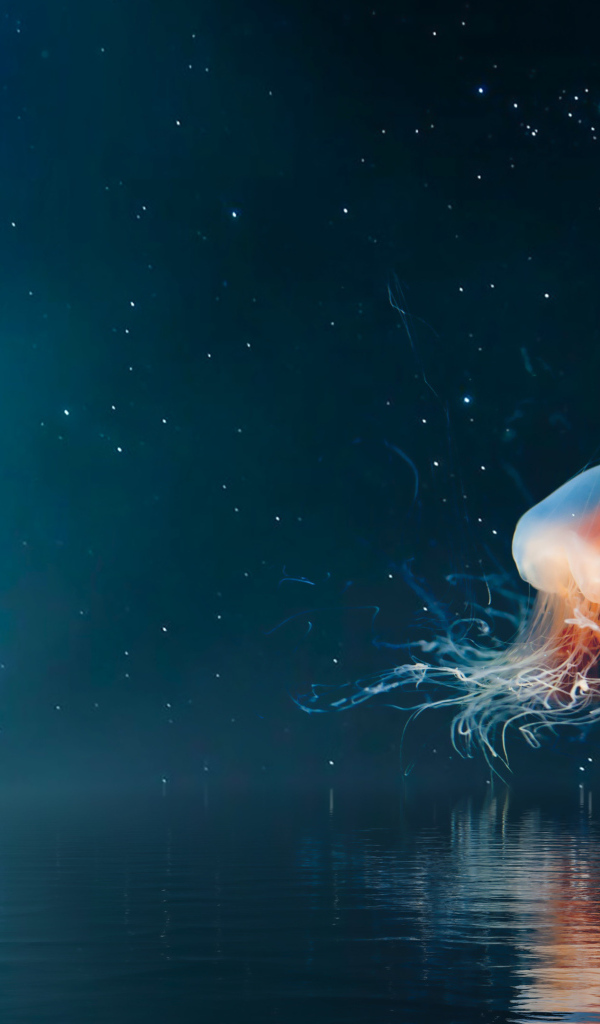 Большая медуза на фоне неба