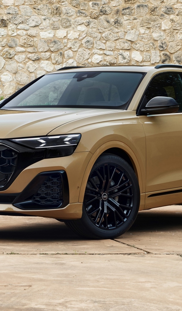 Автомобиль Audi Q8 55 TFSI Quattro S Line 2023 года