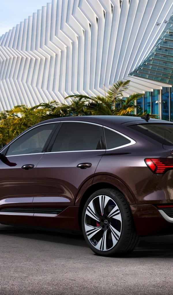 Автомобиль Audi Q8 Sportback 55 E-Tron Quattro вид сзади