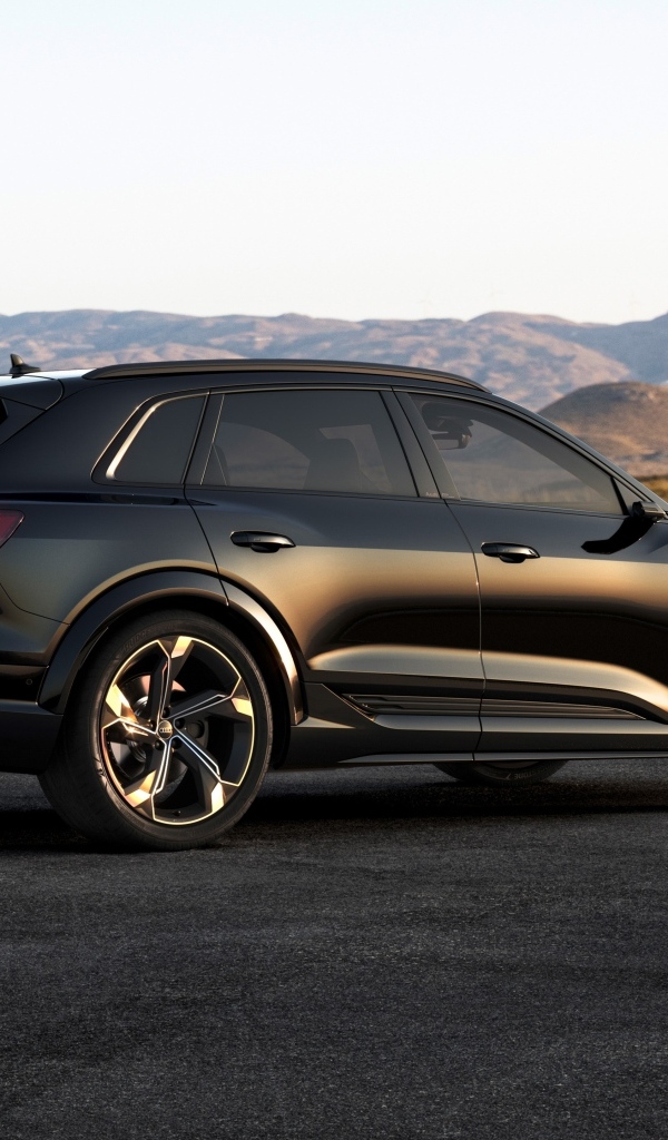 Автомобиль Audi SQ8 E-Tron Quattro  вид сзади