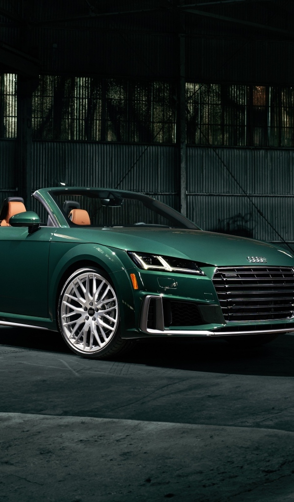 Зеленый кабриолет Audi TT Roadster Final Edition 2023  года