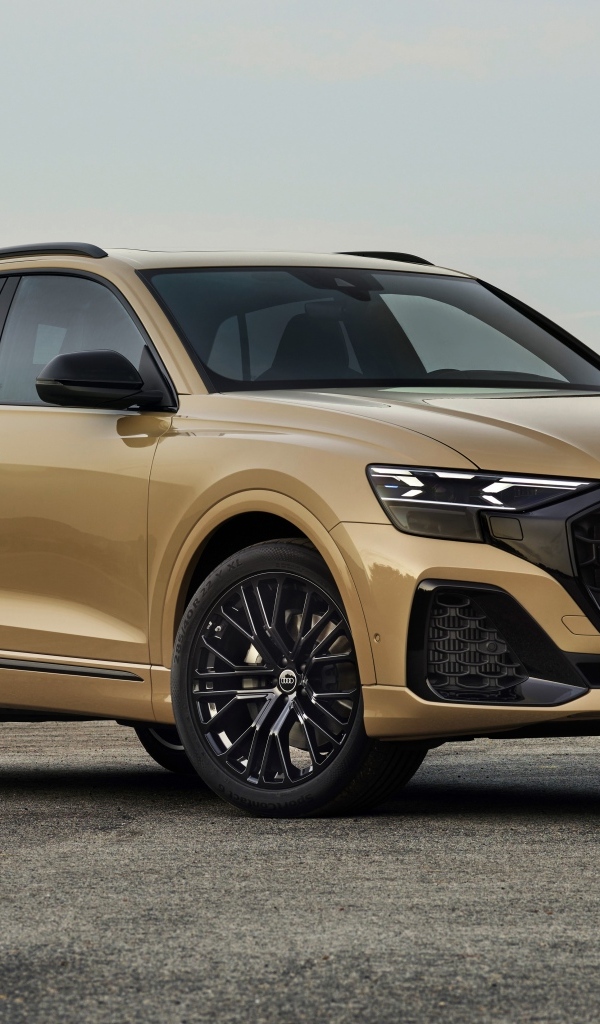 Стильный автомобиль Audi Q8 55 TFSI Quattro S Line 2023 года