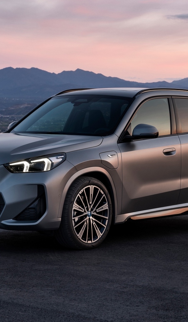 Автомобиль BMW X1 XDrive30e M Sport 2022