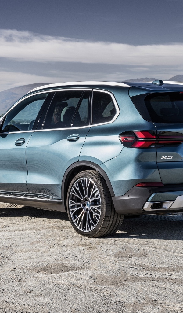 Кроссовер BMW X5 2023 вид сзади
