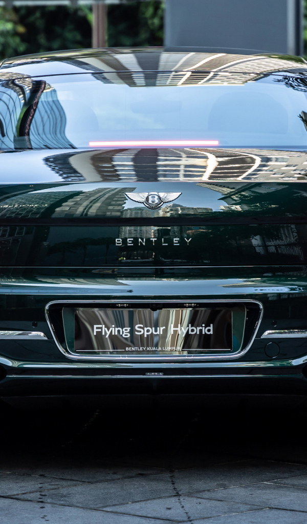 Автомобиль Bentley Flying Spur Hybrid 2023 вид сзади