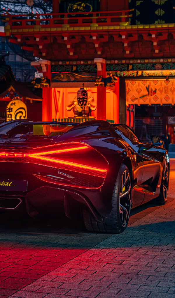 Черный Bugatti W16 Mistral  вид сзади